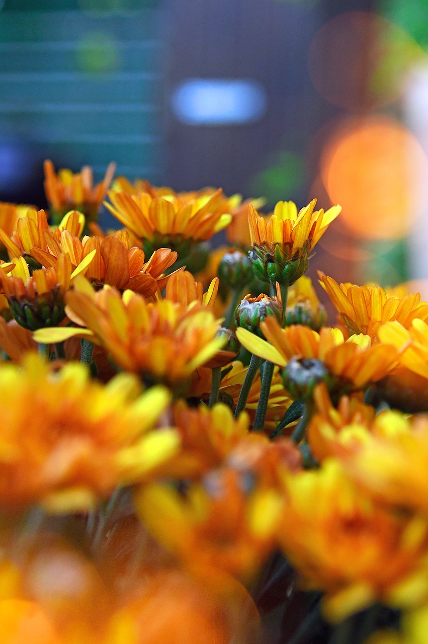 45 câu nói tạo động lực làm việc trong buổi sáng