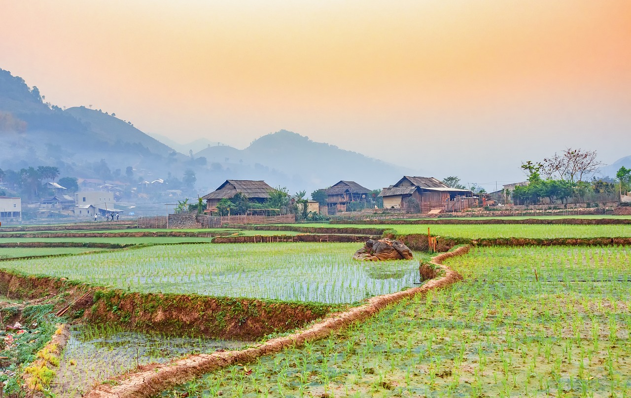 63 Câu Nói Tạo Năng Lượng Ngày Mới Hay