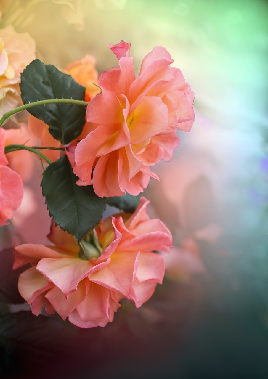 Top 10 Loài Hoa Đẹp Nhất Thế Giới Khiến Bạn Say Đắm